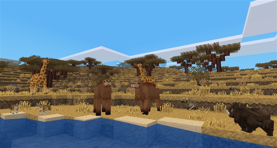 Master Block Craft